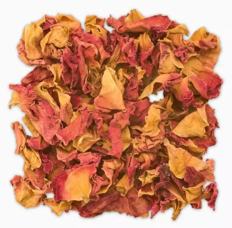 Rosenblütenblätter